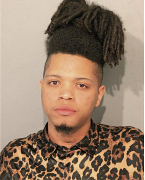 DASHON Q RILEY, Cook County, Illinois