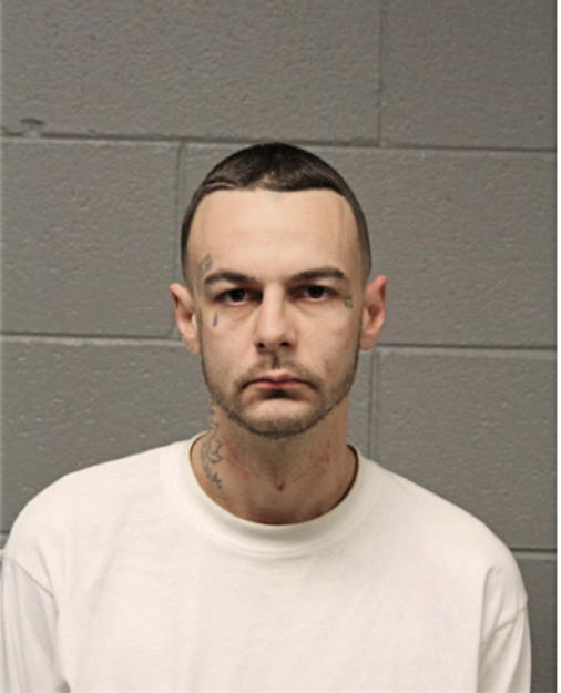 MICHAEL ROBERTSON, Cook County, Illinois