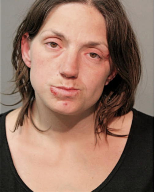 ANDREA C SHIFLETT, Cook County, Illinois