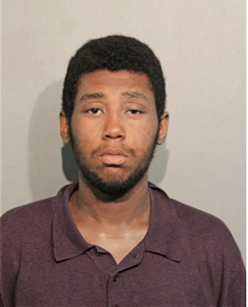 CHRISTIAN D SYKES, Cook County, Illinois