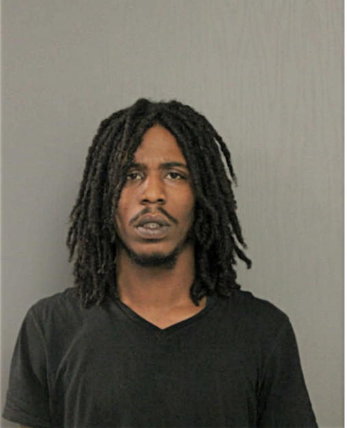 BRIAN L TERRY, Cook County, Illinois