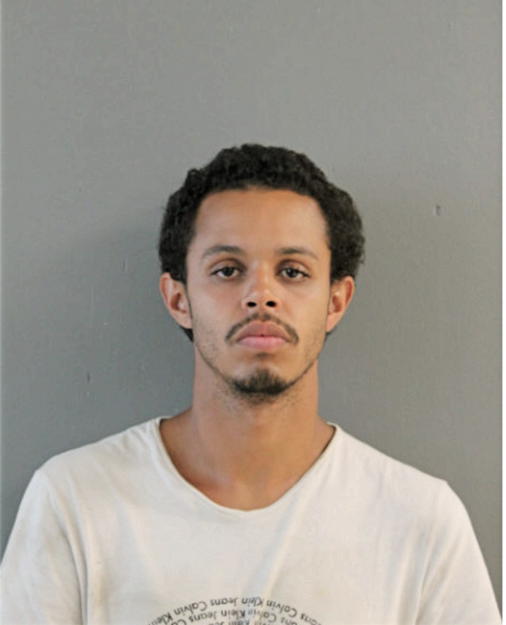 ALLEN VILLARREAL, Cook County, Illinois