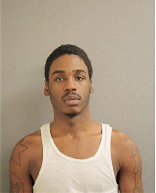 ANJI D WEBSTER, Cook County, Illinois