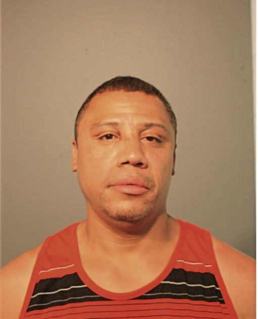 SHAWN L WILLIAMS, Cook County, Illinois