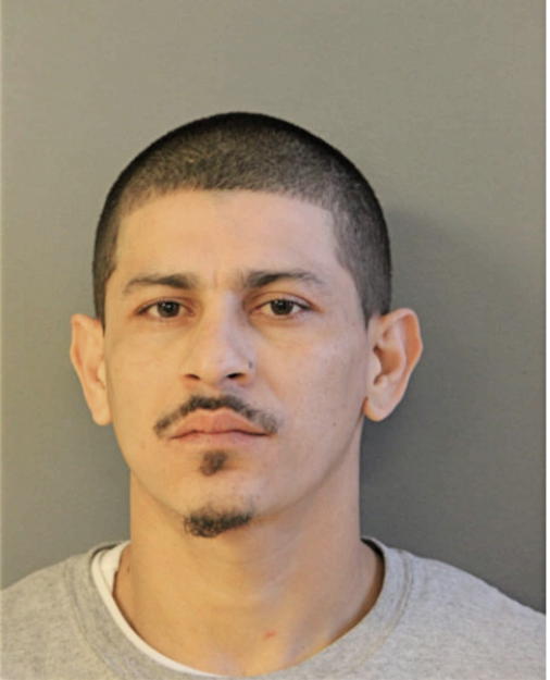 JOSE YANES, Cook County, Illinois