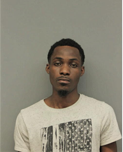 EDWARD N ADDO, Cook County, Illinois