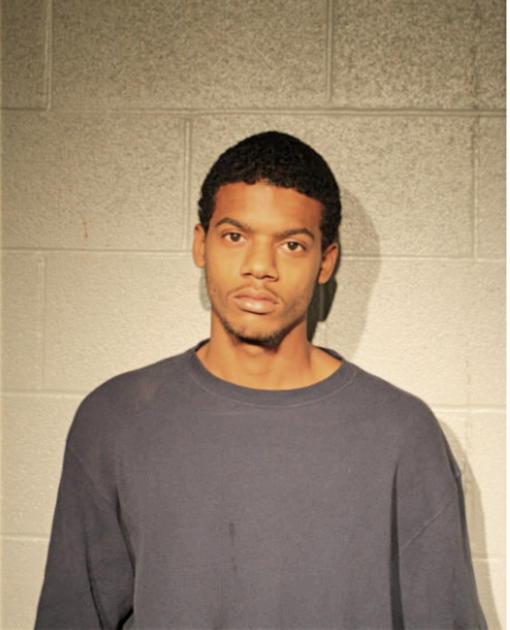 MICHAEL L ALLEN, Cook County, Illinois