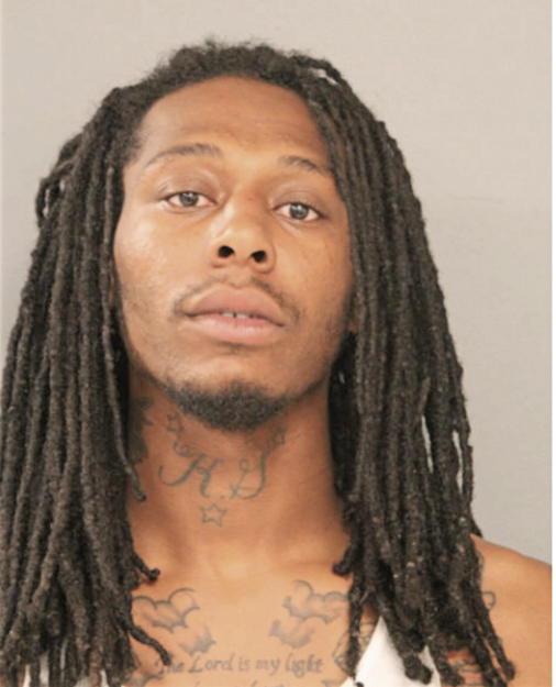 DASHAUN L ANDERSON, Cook County, Illinois