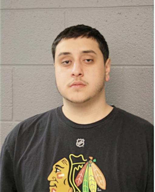 EDWIN LUIS-ANTONIO ARES, Cook County, Illinois