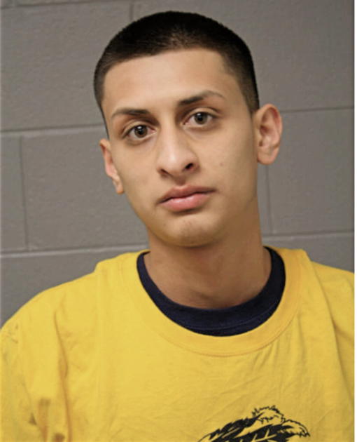 MICHAEL BERNISTAIN, Cook County, Illinois