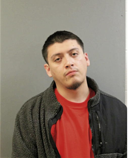 FERNANDO BRITO, Cook County, Illinois