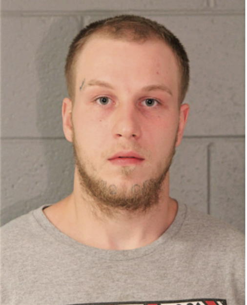 DYLAN G BRYCHTA, Cook County, Illinois