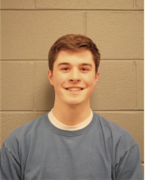 MAX W BURGI, Cook County, Illinois