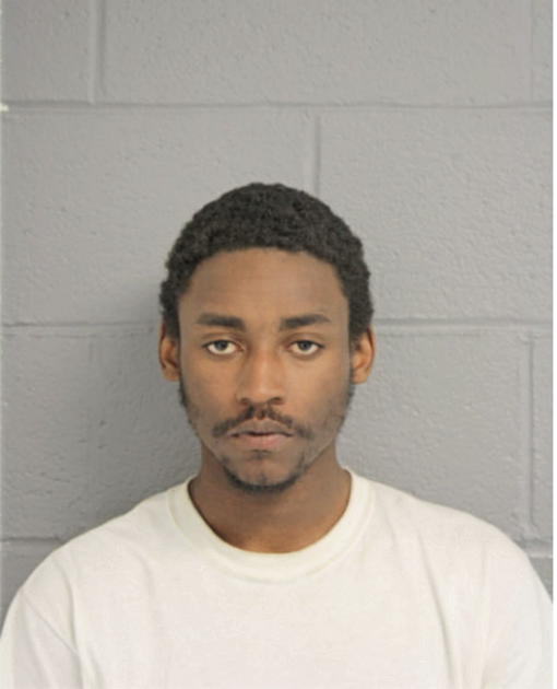 DARNELL N DORSEY-COLLIER, Cook County, Illinois