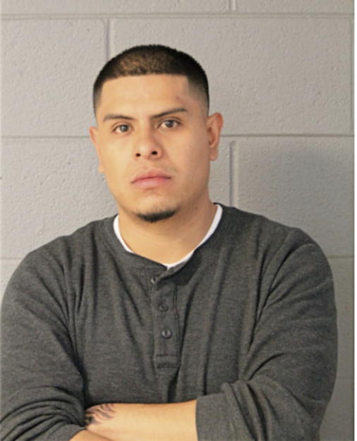 ADAM FIERROS, Cook County, Illinois