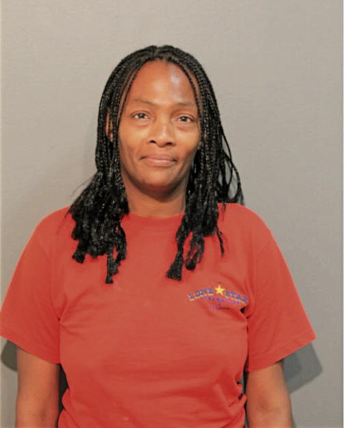 MICHELLE E GANDY, Cook County, Illinois