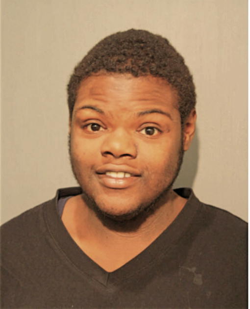 BRAXTON J JOHNSON, Cook County, Illinois