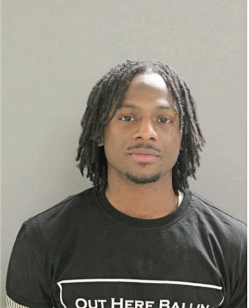 DEVON W LEE, Cook County, Illinois