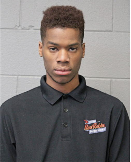 ANDRE LOTT, Cook County, Illinois
