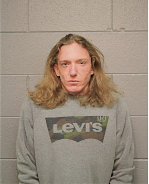MICHAEL P LYONS, Cook County, Illinois