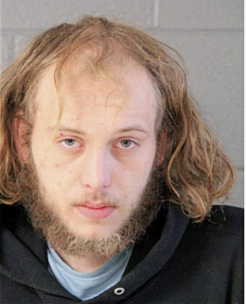 ROBERT C NELSON, Cook County, Illinois