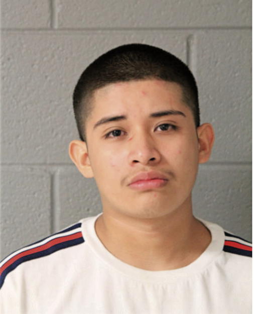 BRANDON J PICHARDO, Cook County, Illinois