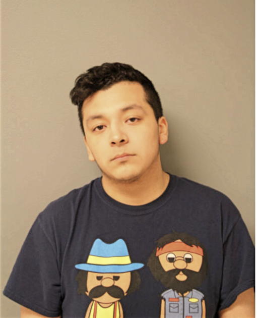 CHRISTIAN E RAMIREZ, Cook County, Illinois