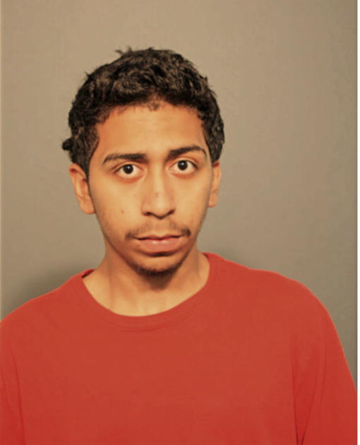 GEOVANI A RAMOS, Cook County, Illinois