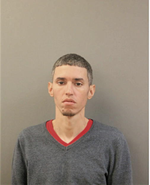 ANGEL RIVERA-QUINONES, Cook County, Illinois