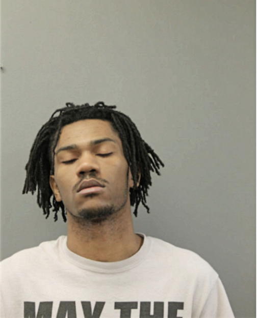 CHRISTIAN A ROBINSON, Cook County, Illinois