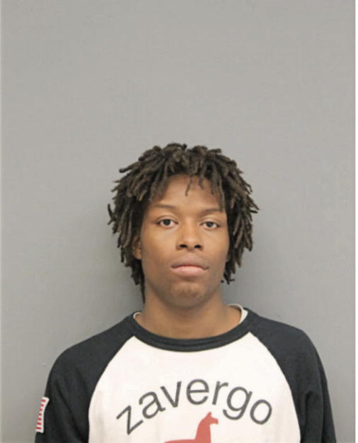 DENNIS G ROBINSON, Cook County, Illinois