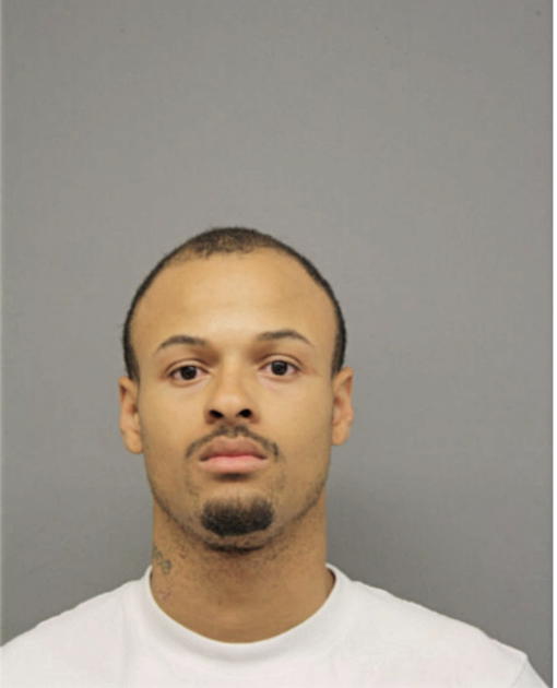 JOHN C ROUSSEAU, Cook County, Illinois