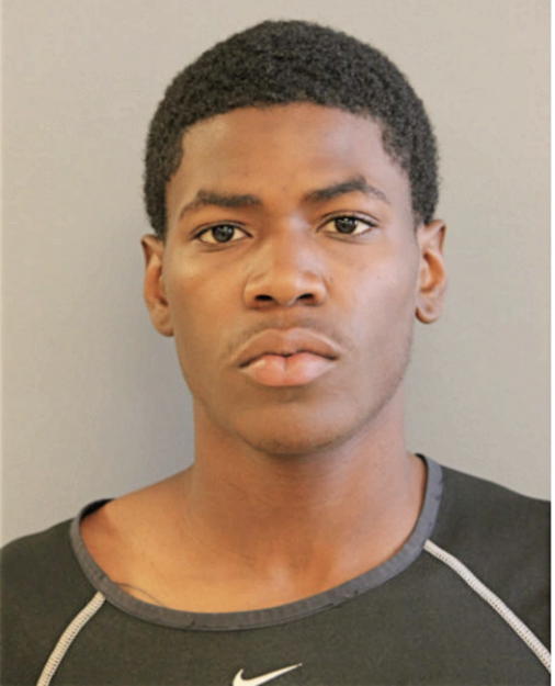 FALANDIS TREVELL RUSSELL, Cook County, Illinois