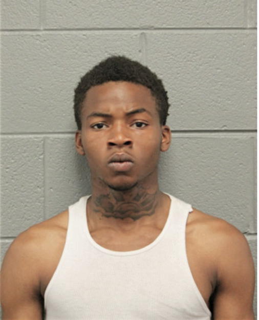 ERIK L SPANN, Cook County, Illinois