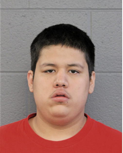 PEDRO E TORRES, Cook County, Illinois