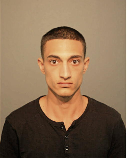 SAFAA ABBAS, Cook County, Illinois