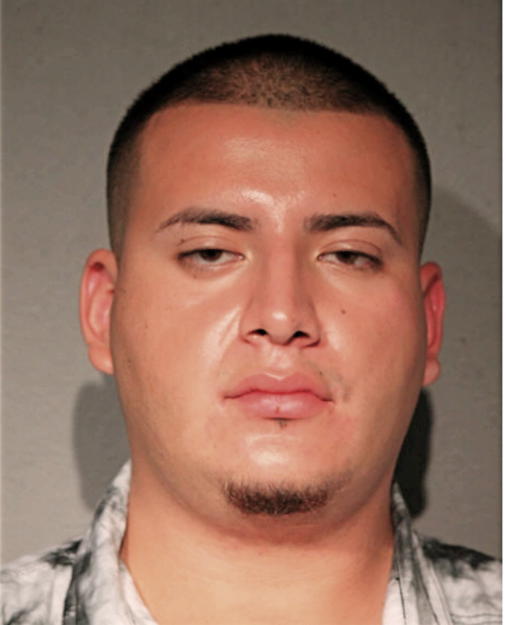 JESUS ALVAREZ-TREJO, Cook County, Illinois