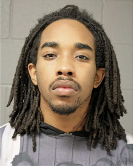 MATTHEW J ANDREWS, Cook County, Illinois