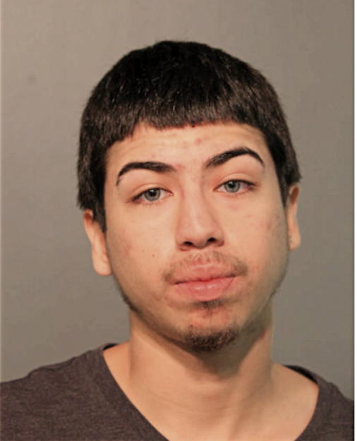 MARK ANTHONY AVILES-MARIN, Cook County, Illinois
