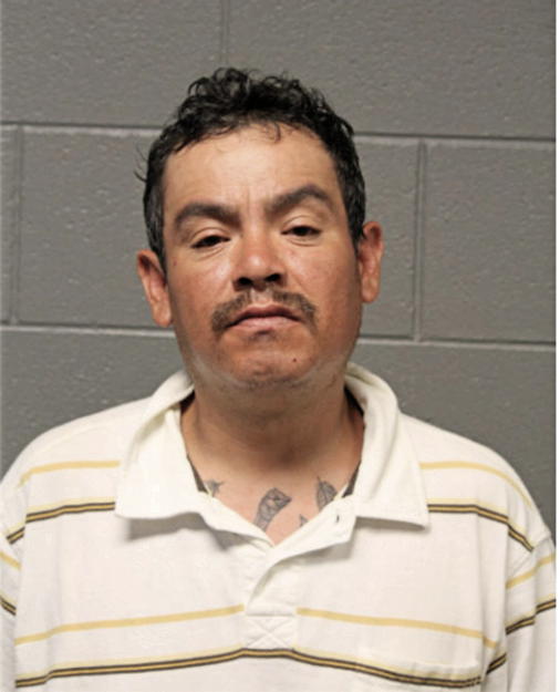 AURELIANO BAENA-MARTINEZ, Cook County, Illinois