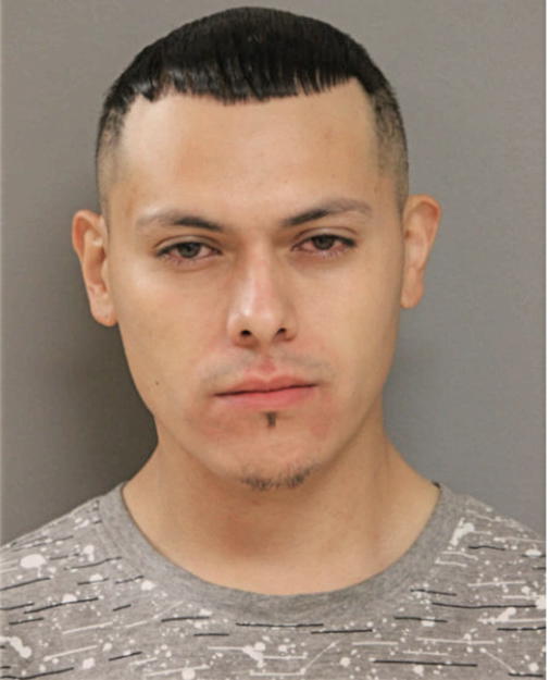 MIGUEL A CABRALES, Cook County, Illinois