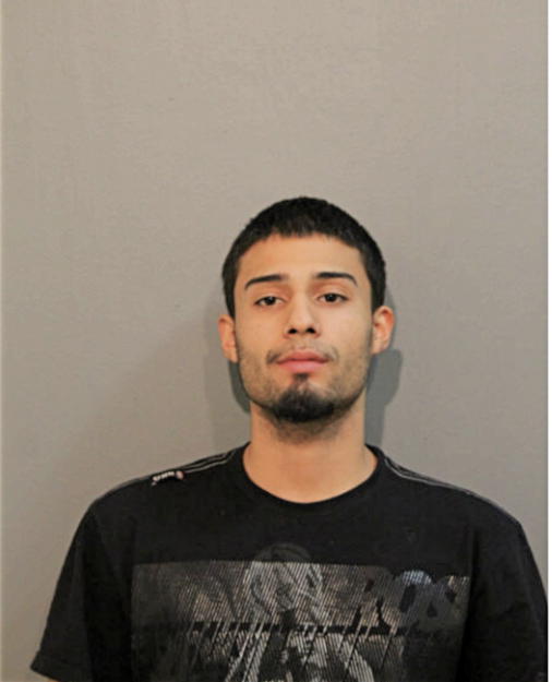 VICTOR J CRUZ, Cook County, Illinois