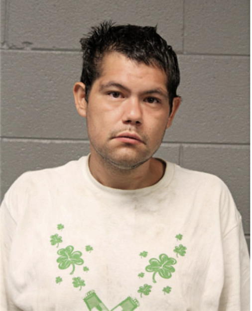 ROBERT D DELACRUZ, Cook County, Illinois