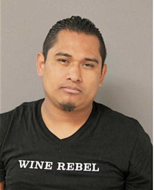 JEZUS GONZALEZ, Cook County, Illinois