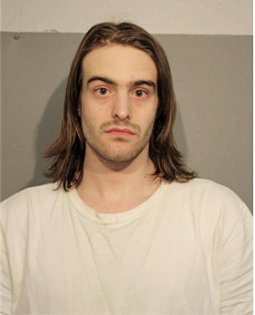 MICHAEL A GRUSHKA, Cook County, Illinois