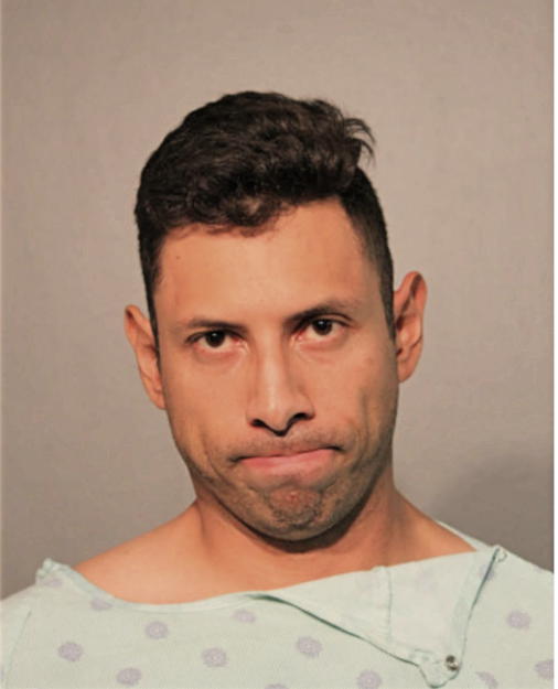 DAVID ZUNIGA JR, Cook County, Illinois