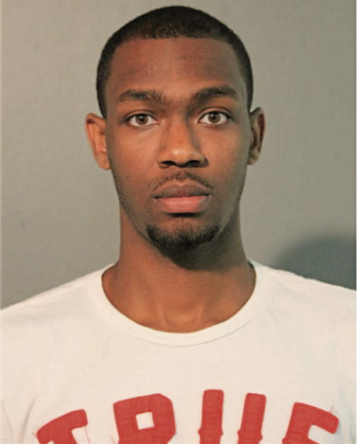 DAVID B LINDSEY, Cook County, Illinois