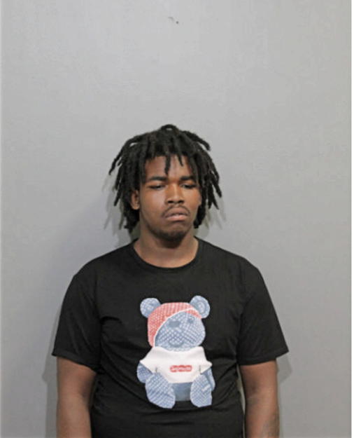 MICHAEL MCNEAL, Cook County, Illinois