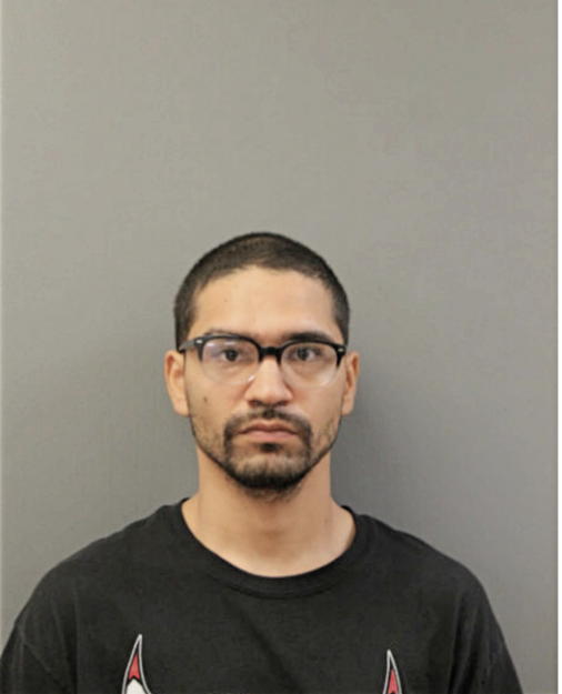 SILVINO M MOLINA, Cook County, Illinois