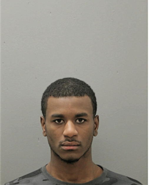 MARLISS R PELMER, Cook County, Illinois